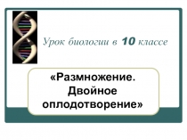 Размножение. Опыление. Двойное оплодотворение.
