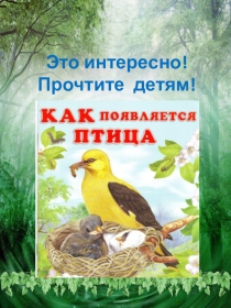 Презентация по познавательному развитию дошкольников Как появилась птица