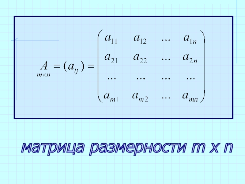 Матрица размеров m n. Размерность матрицы. Как определить размер матрицы. Размер матрицы математика. Матрица m x n.