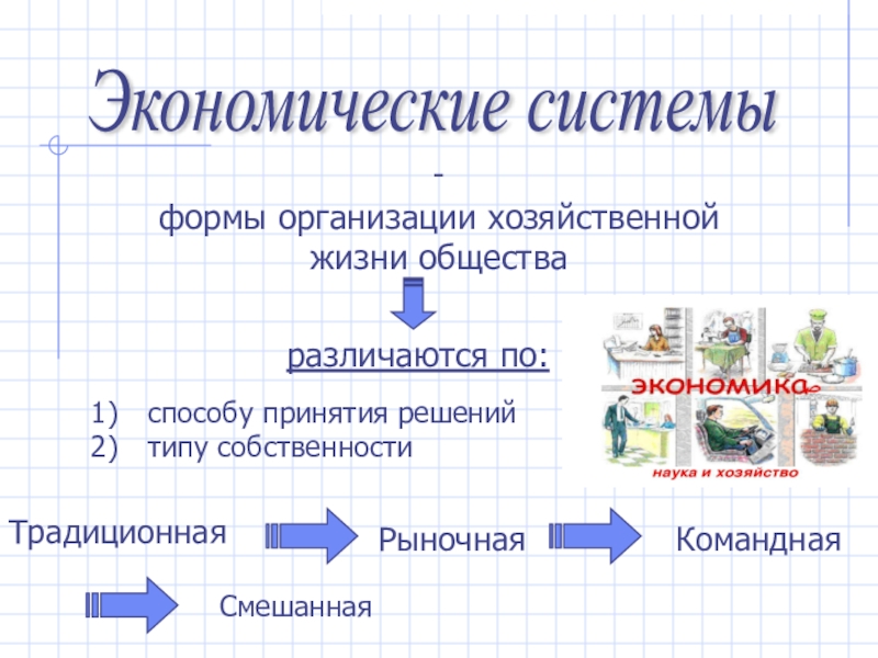 Организация экономической жизни