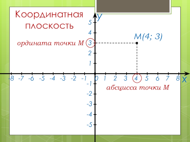 Положительная ось ординат. Абсцисса и ордината. Абсцисса т ордината. Абсцисс и ординат на координатной. Абсцисса и ордината на графике.