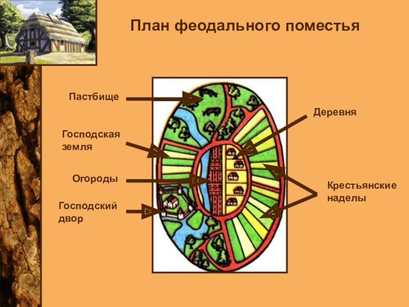 Начертите план феодального поместья 6 класс по истории