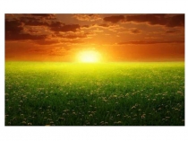 Презентация 2 класс по теме: Звездное небо