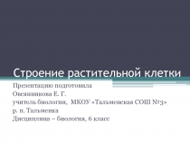 Презентация по биологии 6 класс на тему: Строение растительной клетки. 6 класс.