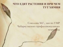 Презентация по дисциплинам химия и биология на тему Что едят растения и причем тут химия