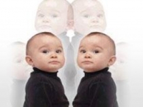 Презентация по биологии Клонирование за и против