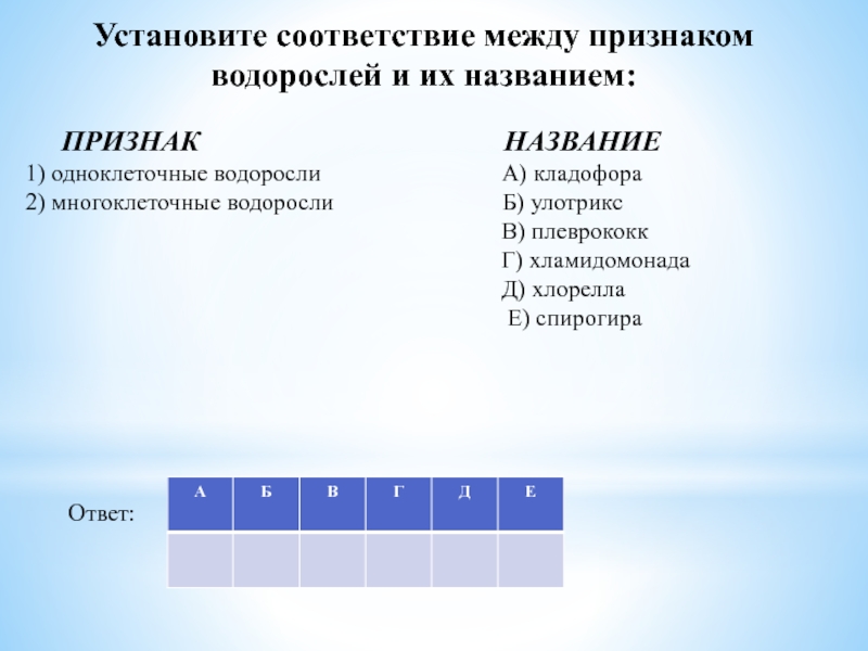 Установите соответствие между признаками животных и классами