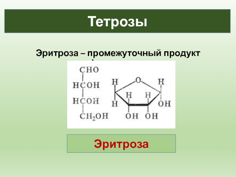 Моносахариды презентация по химии