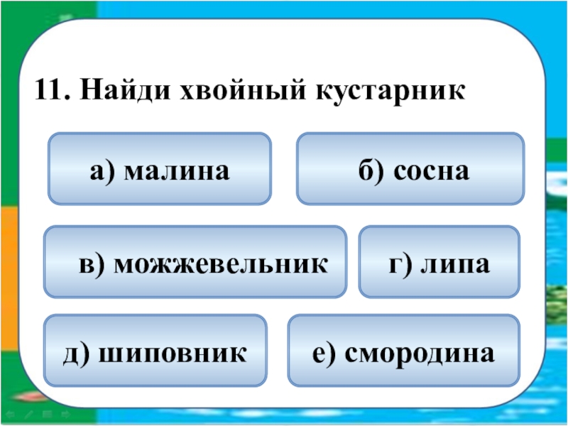 Тест по окружающему миру тема разнообразие растений