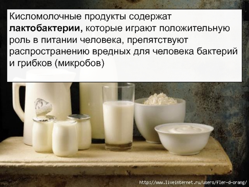 Они содержат. Продукты содержащие лактобактерии. В каких продуктах содержатся лактобактерии. Роль кисломолочных продуктов в питании. Продукты содержащие лакто и бифидобактерии.