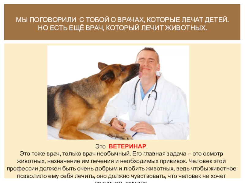 Врачи которые лечат живот. Здоровое животное. Как называется врач который лечит животных. Как называется врач который лечит животных. Терапия животных.