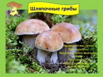 Презентация по окружающему миру Грибы