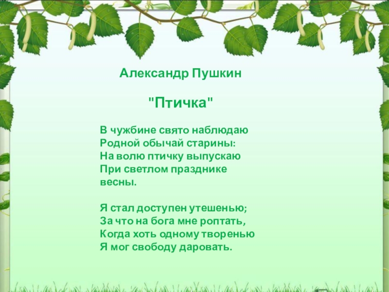 Свято наблюдаю родной обычай старины. На волю птичку выпускаю при Светлом празднике весны. В чужбине Свято наблюдаю родной обычай. На волю птичку выпускаю при Светлом празднике весны какой праздник. Стихотворение в чужбине Свято наблюдаю.