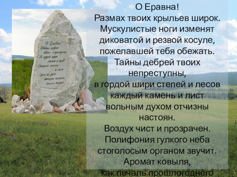 Проанализируйте стихотворение цветок намжила нимбуева. Еравна. Еравна карта. Еравна моя. Еравна Бурятия.