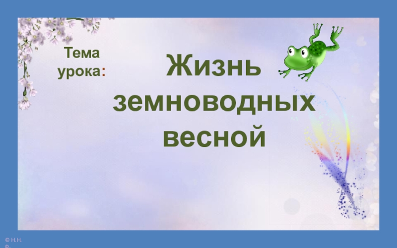 Жизнь земноводных весной презентация