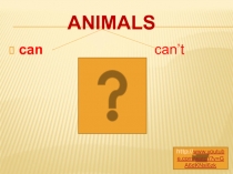 Презентация по английскому языку на тему ANIMALS CAN
