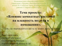 Презентация Влияние комнатных растений