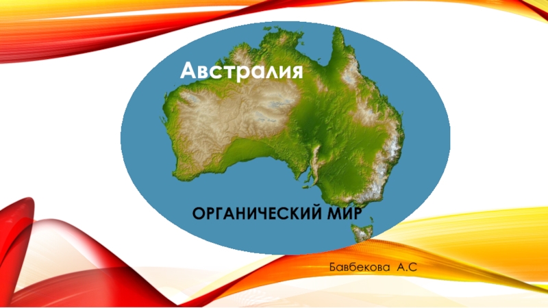 Презентация по географии на тему Органический мир Австралии