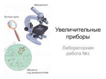 Презентация по биологии для 5 класса по теме Увеличительные приборы к учебнику И.Н. Пономаревой, И.В. Николаева, О.А. Корниловой