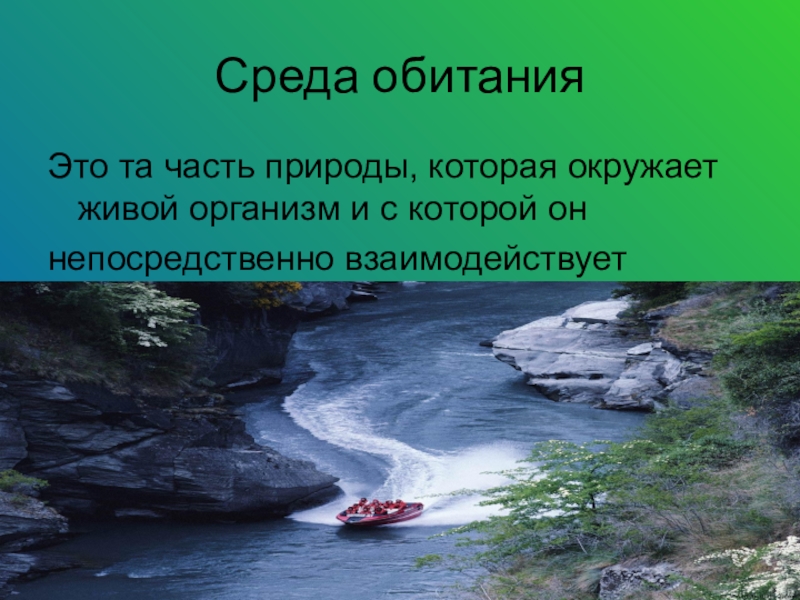 Среда обитания это. Среда обитания. Среда обитания это часть природы которая окружает живой организм. Среда обитания определение. Чтотакое реда обитания.