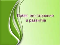 Побег, его строение и развитие презентация 6 класс