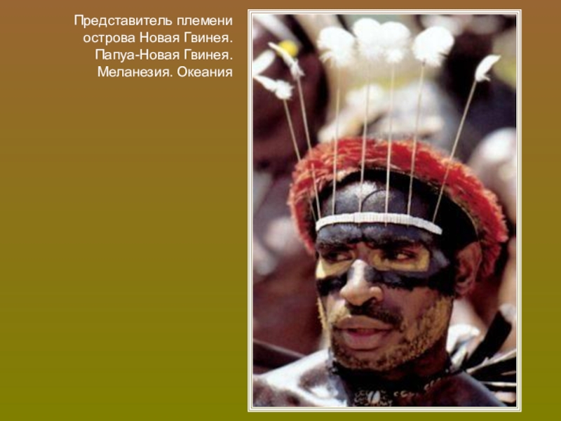 Реферат: Аборигены Австралии и папуасы Новой Гвинеи