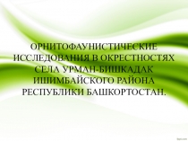 исследовательская работа ОРНИТОФАУНИСТИЧЕСКИЕ ИССЛЕДОВАНИЯ В ОКРЕСТНОСТЯХ СЕЛА УРМАН-БИШКАДАК ИШИМБАЙСКОГО РАЙОНА РЕСПУБЛИКИ БАШКОРТОСТАН