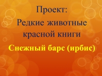 Презентация-проект по окружающему миру Редкие животные Красной книги(2 класс)