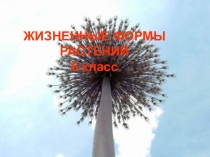 Презентация по биологии на тему Многообразие жизненных форм растений 6 класс