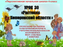 Презентация по окружающему миру на тему  Растения Кемеровской области (4класс)