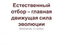 Презентация к урок биологии 11 класса по теме Естественный отбор – главная движущая сила эволюции