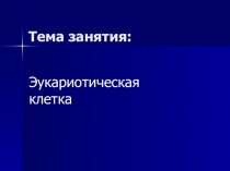 Презентация по биологии на тему Эукариотическая клетка