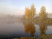 Презентация к уроку Путешествие в царства живой природы