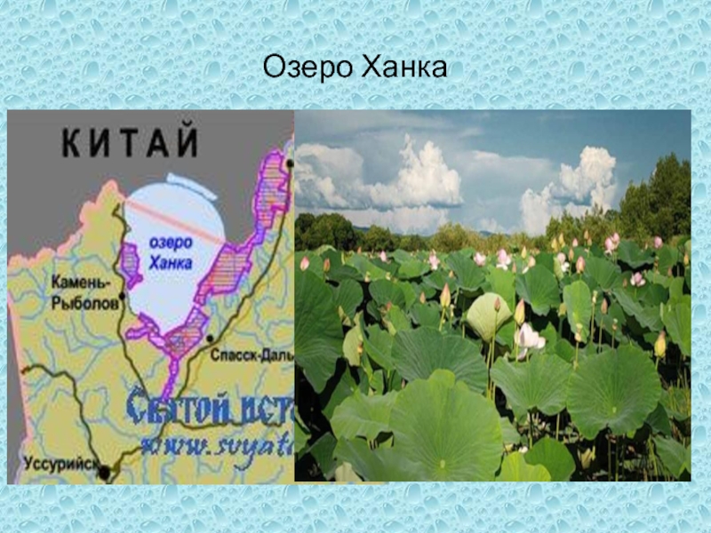 Ханка озеро на контурной. Озеро ханка на карте. Озеро ханка на карте России. Озеро ханка на контурной карте.