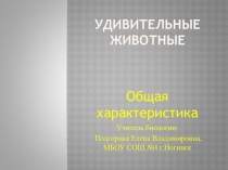 Презентация по биологии на тему Удивительные животные (7 класс)
