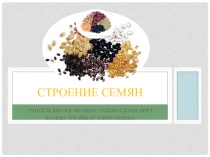 Презентация по биологии на тему Строение семян