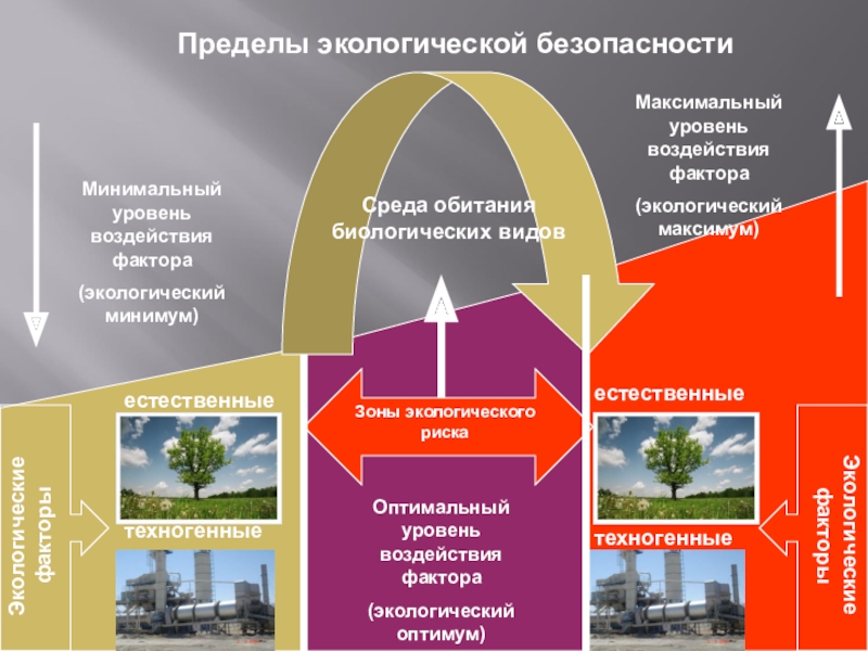 Экологическая безопасность россии тест