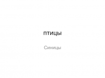 Презентация Птицы для учащихся 5 класса коррекционной школы 8 вида.