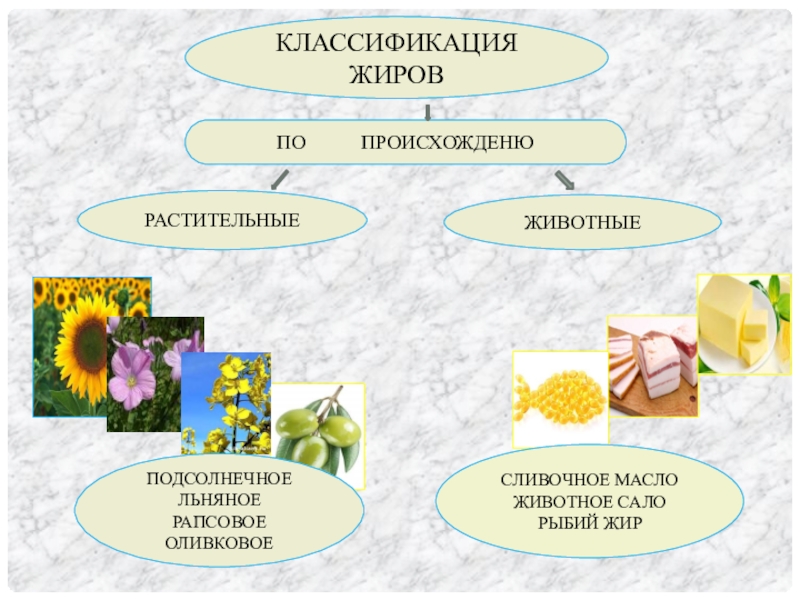 Жиры презентация по химии