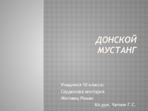 Презентация по биологии на тему Донской Мустанг