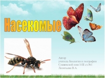 Презентация по биологии Насекомые