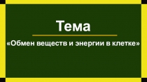 Презентация по биологии на тему Обмен веществ и энергии в клетке