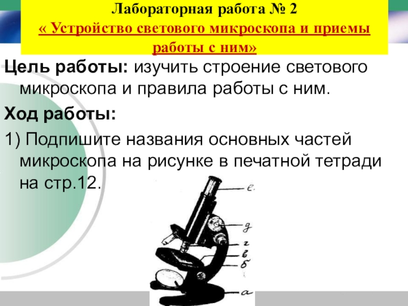 Проект по биологии 5 класс на тему микроскоп