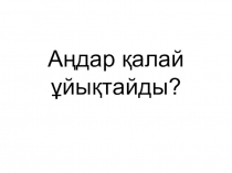 Презентация Аңдар қалай ұйықтайды.