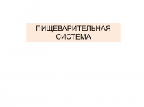 Презентация по анатомии человека на тему Строение пищеварительной системы