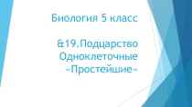 Презентация по Биологии на тему &19. Подцарство Одноклеточные Простейшие (5 класс)
