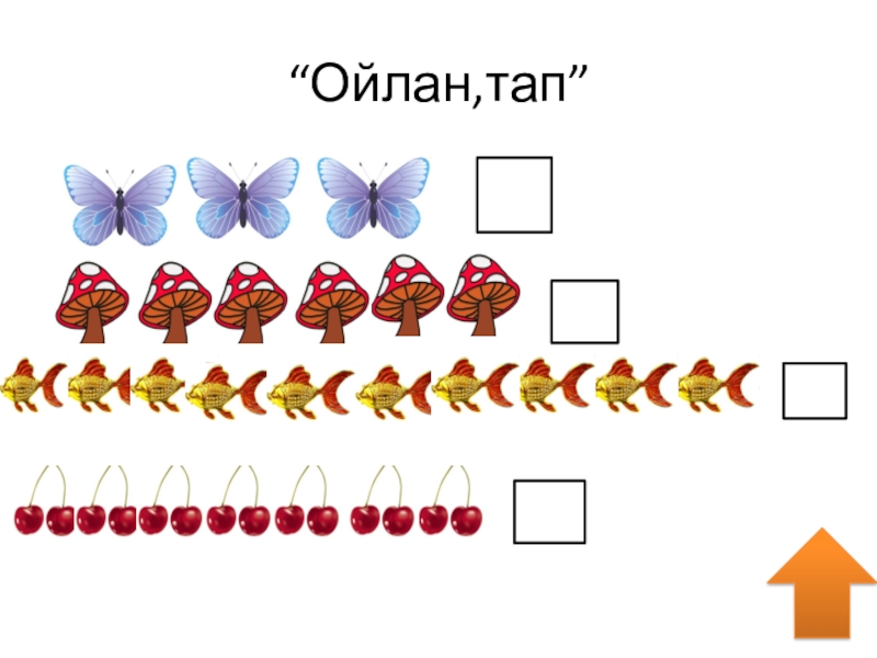 Математика негіздері ересек топ тех карта