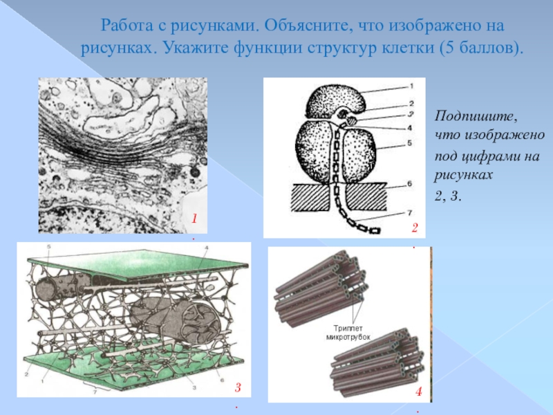 Рисунок поясняющий текст