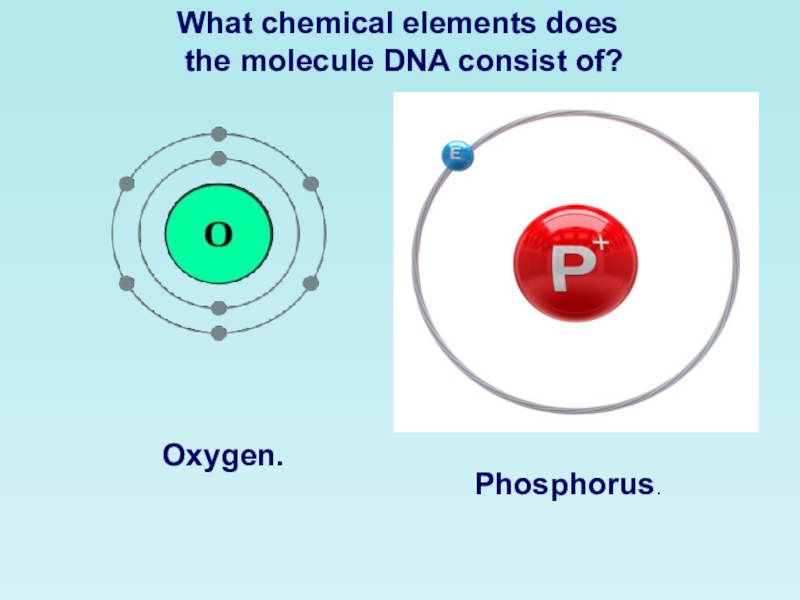 Бинарные химические элементы. Кемикал Элементс. What are Chemical elements?. CS element Chemical. Chemical element cookies.