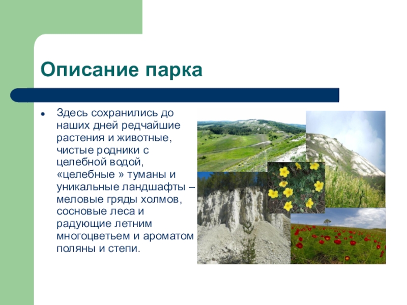 Описание парка. Расположение Хвалынского заповедника. Описание парка днем. Родники Хвалынского национального парка на карте.